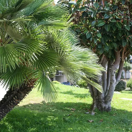 Horizonte View *